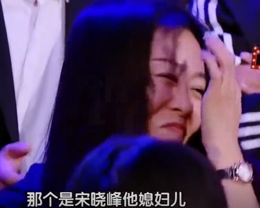 宋晓峰16岁女儿曝光(宋晓峰多少岁)插图12