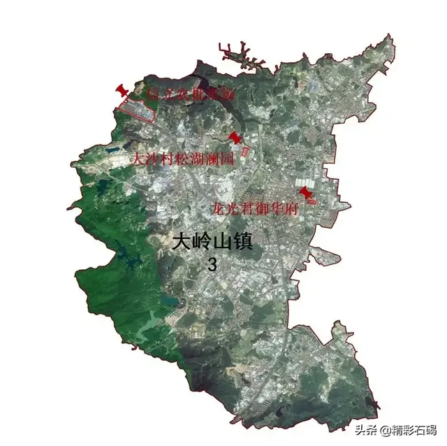 东莞孝感餐厅排名前十(东莞最好的自助餐排名)插图11