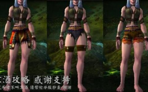 魔兽世界皮甲比基尼(好看的皮甲幻化前十名)