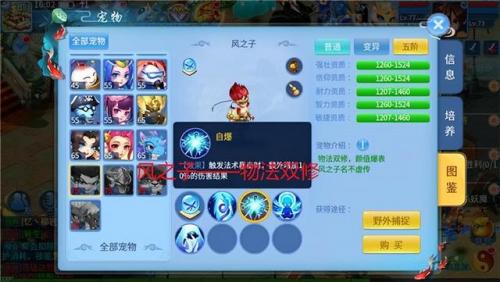 天书奇谈一转术士加点(天书奇谈平民职业攻略)插图1