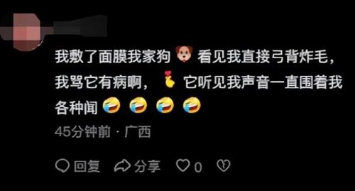明星宠物面膜排名前十(全部明星的宠物的名字)插图37