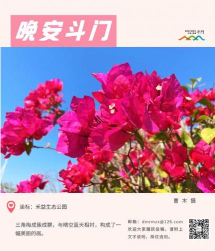 煞科是什么意思(煞科的原版叫什么)插图