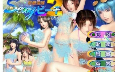 类似御宅伴侣的游戏(波动少女2类型的游戏叫什么)