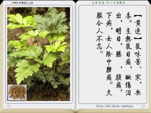本草纲目中药大全(12000种中草药大全)插图2