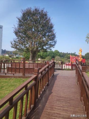 苏北最美小区排名前十(苏州最好的小区排名)插图16