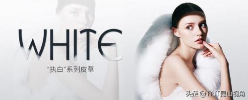 中国皮草排行榜(山东最大皮草批发市场)插图