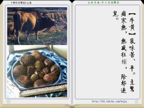 本草纲目中药大全(12000种中草药大全)插图14