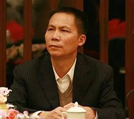 武汉富豪排行榜(湖北省首富50排行榜)插图6