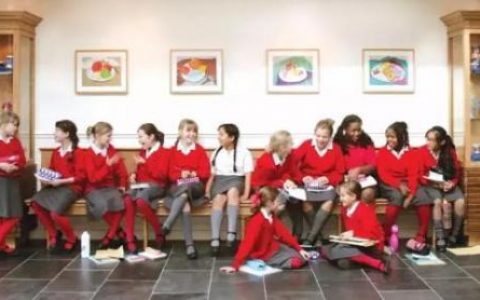 苏州龙岗小学排名前十(深圳坂田公立小学学校排名)