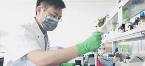 十大本科专业排行榜(本科十大吃香专业)插图7