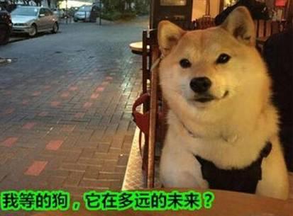 巴中汤锅排名前十店铺(重庆汤锅加盟哪些店好)插图1