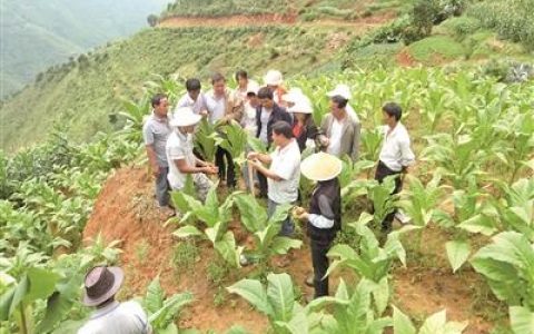 英雄三才阵机关技师(机关工勤技师参照对应)
