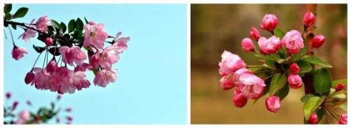 长沙高校校花排名前十(长沙校花)插图23