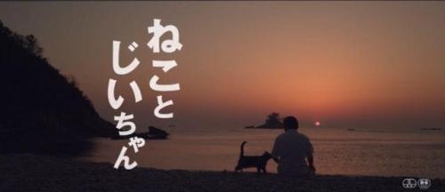 黑暗物质三部曲精工小刀(黑暗物质三部曲好看吗)插图36