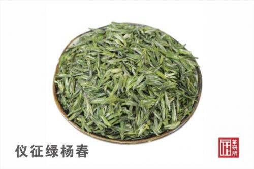 苏州茶叶商家排名前十(苏州有什么茶叶)插图4