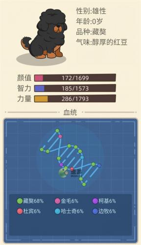 狗生模拟器土狗配种攻略指南(土狗可以当宠物狗养吗)插图4