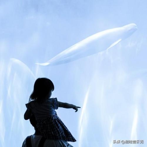 抖音网红歌曲排行榜(网络歌曲2023年流行歌曲排行榜)插图4
