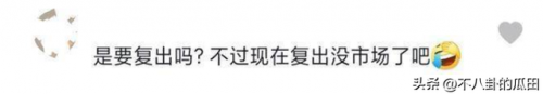 中国明星复出排名前十(永不复出的明星6)插图31