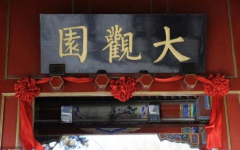 荼蘼怎么读(荼蘼的寓意是什么)