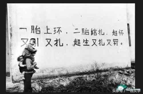 莫言的作品蛙(莫言哪部书得诺贝尔奖)插图3