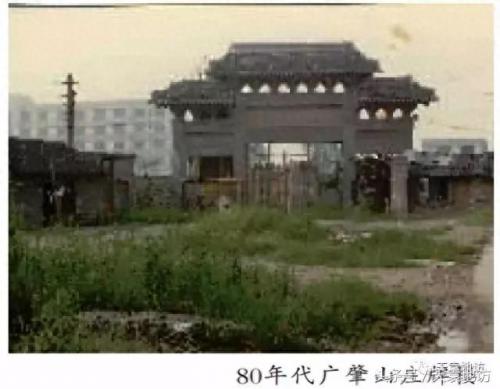 上海普陀区墓园排名前十(上海最大的公墓排名前十)插图13