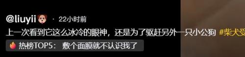 明星宠物面膜排名前十(全部明星的宠物的名字)插图1