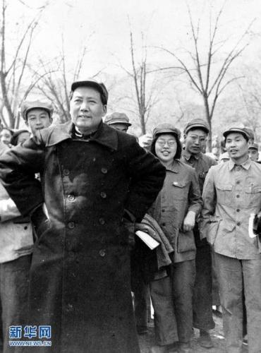 麻雀是谁(麻雀唐山海是什么身份)插图4