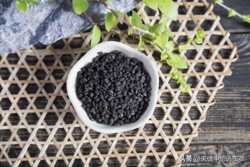 桑寄生的功效与作用及食用方法(钩藤的功效与作用)插图6