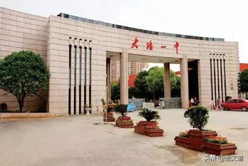 黄石中学排名前十高中(黄石市高中最低录取分数线)插图10