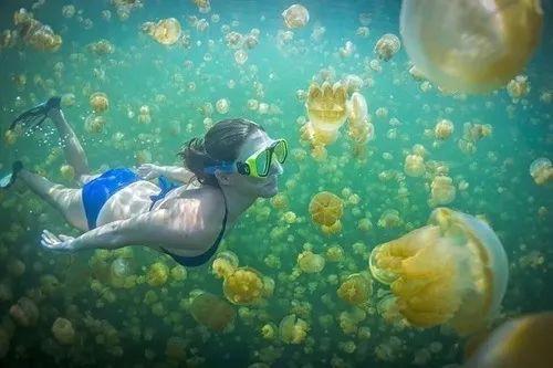 自由潜水胜地排名前十(潜水排名)插图43