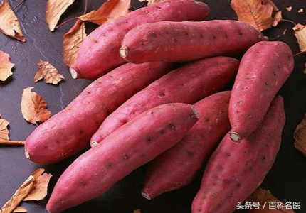 滋阴食物排行榜(滋阴又不寒凉的食物)插图4