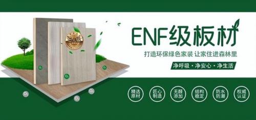 衣柜板材品牌排行榜(板材品牌推荐)插图5