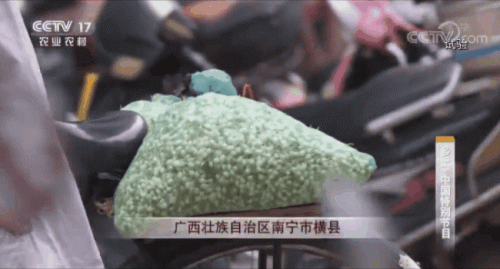 中国最低调的县城排名前十(全国最低调的县排名)插图29