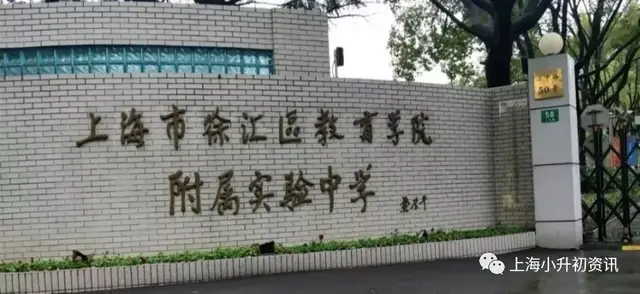徐汇初中排行榜(上海徐汇区初中梯队排名)插图7