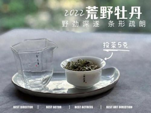 福鼎地下室防水排名前十(乳山地下室防水哪家好)插图8