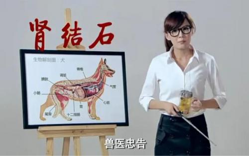 爱情公寓3没有如果是第几集(爱情公寓第三季分集剧情)插图2