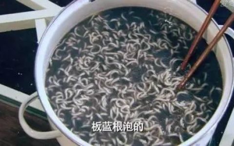 板蓝根泡面排行榜(板蓝根泡面吃了会怎么样)