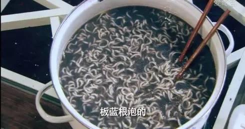 板蓝根泡面排行榜(板蓝根泡面吃了会怎么样)插图