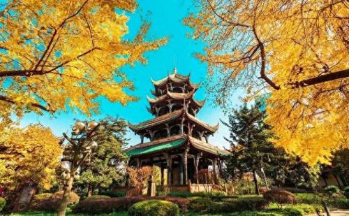 成都十大必去的地方排行榜(成都十大网红室内游乐设备)插图22