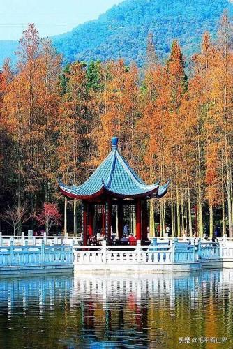 亭组词语(带亭的词)插图2