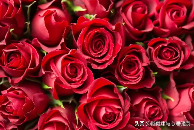 壮阳精油排行榜10强(黑豹精油修复海绵体吗)插图10