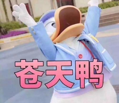 微博笑话排行榜(顶级笑话100个爆笑段子)插图11
