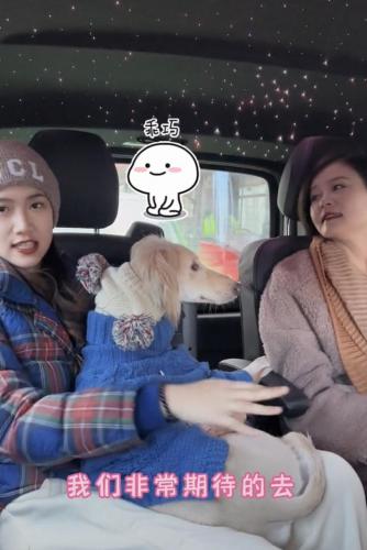 骆达华卢燕(骆达华老婆卢燕是哪里人)插图5
