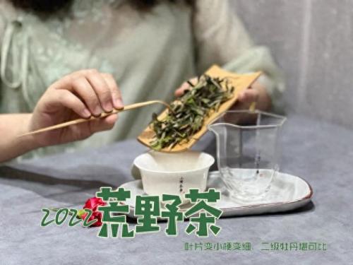福鼎地下室防水排名前十(乳山地下室防水哪家好)插图4