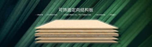 广西木饰面厂家排名前十(中国十大木饰面生产厂家)插图1