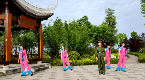 广场舞蹈机构排名前十(华翎舞蹈学校怎么样)插图10