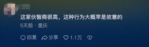 白鲸为什么对人那么好(白鲸对人吐水代表什么)插图3