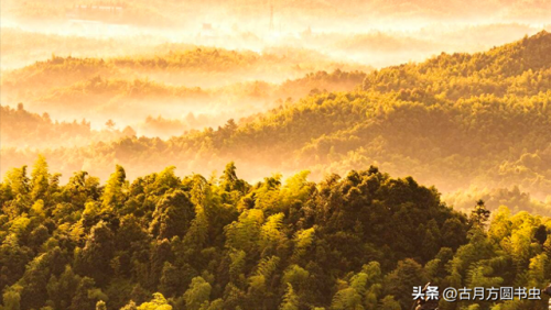 玄幻小说起点排行榜(十大完结巅峰神作小说)插图
