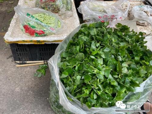峨眉山玉米窝窝头(老式玉米面窝窝头做法)插图1