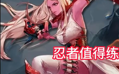 dnf忍者搬砖怎么样(dnf帕拉丁无限拍地板)